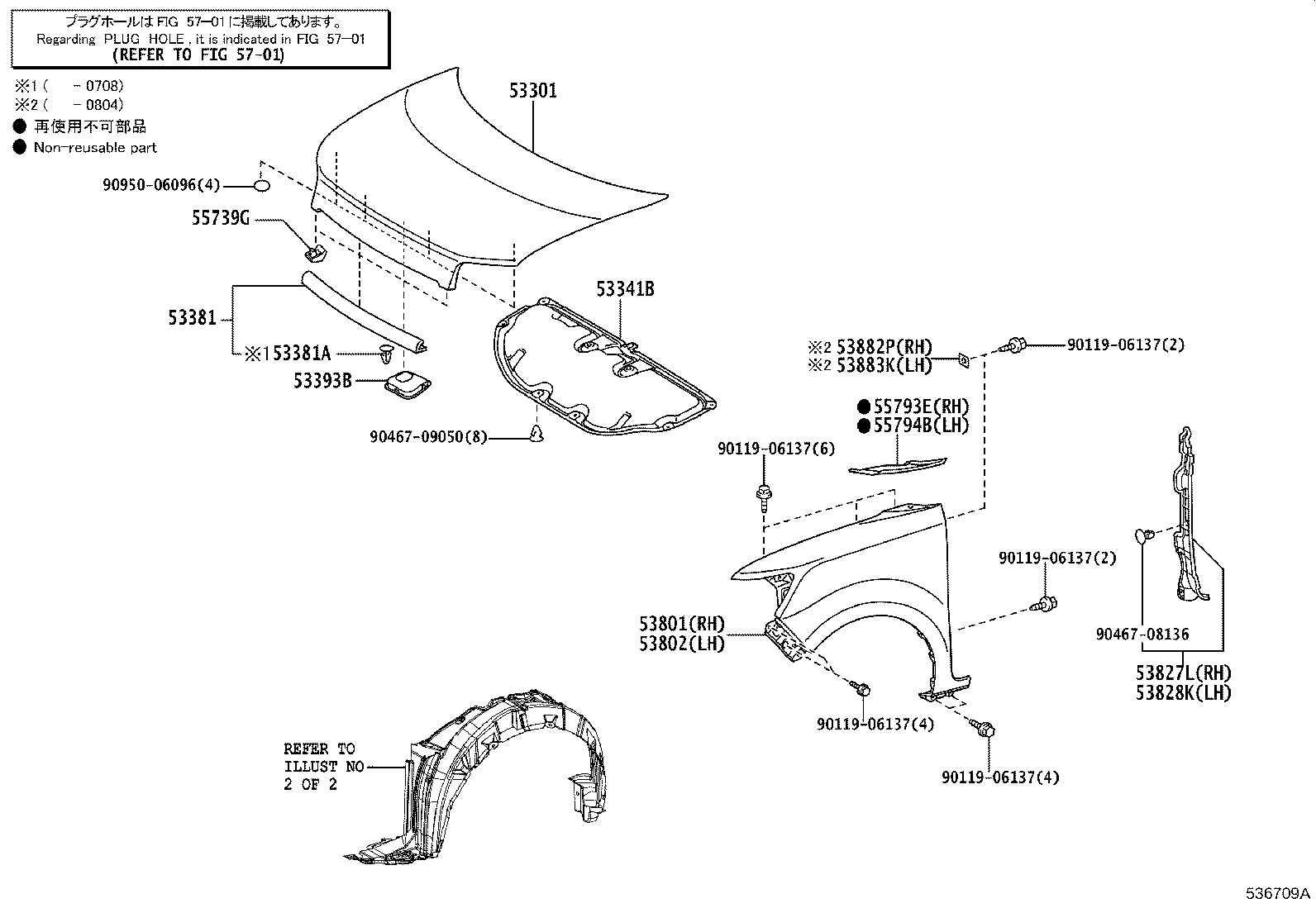 Toyota 53876-12450 LINER, FRONT FENDER, LH