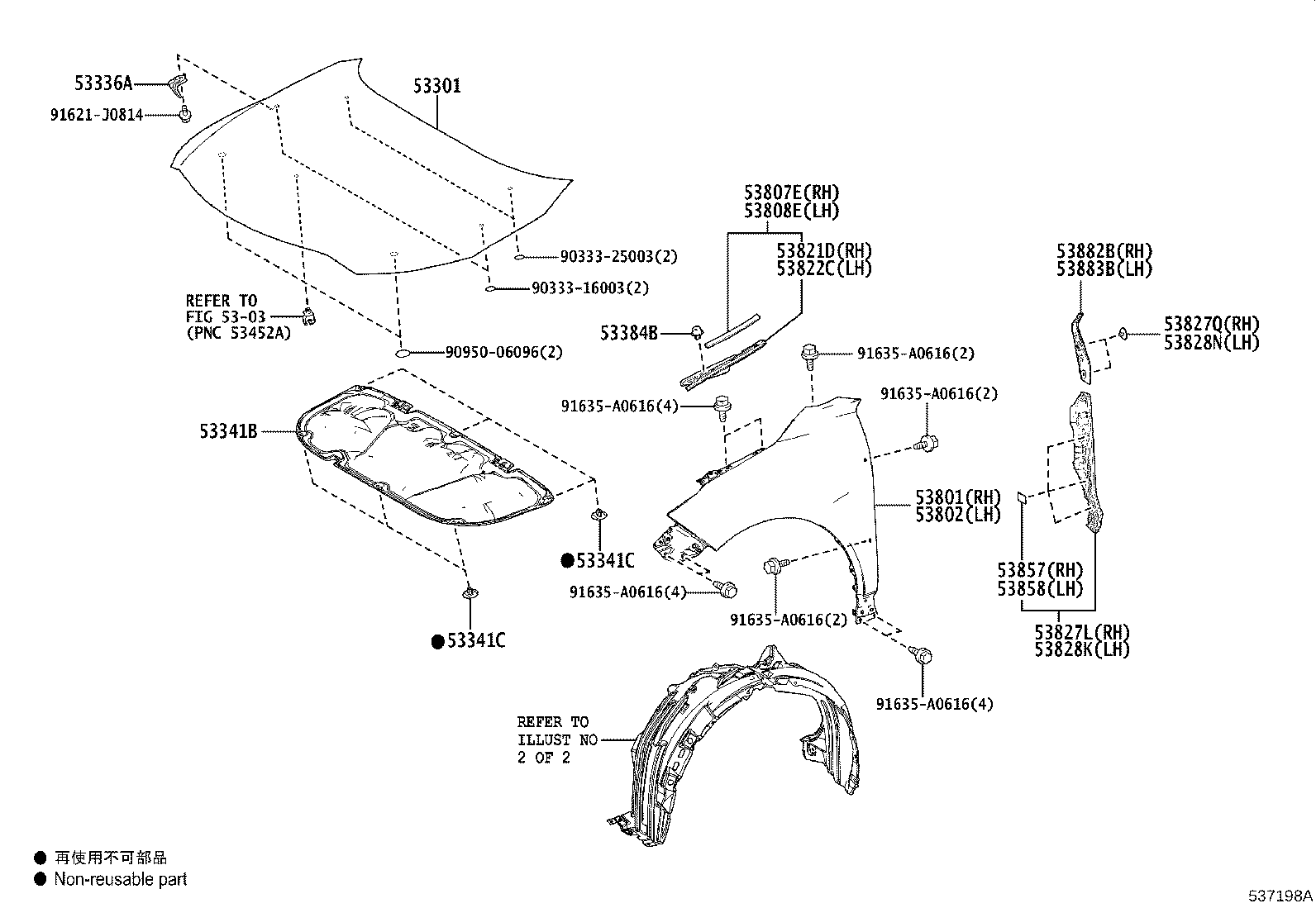 Toyota 53876-48190 LINER, FRONT FENDER, LH