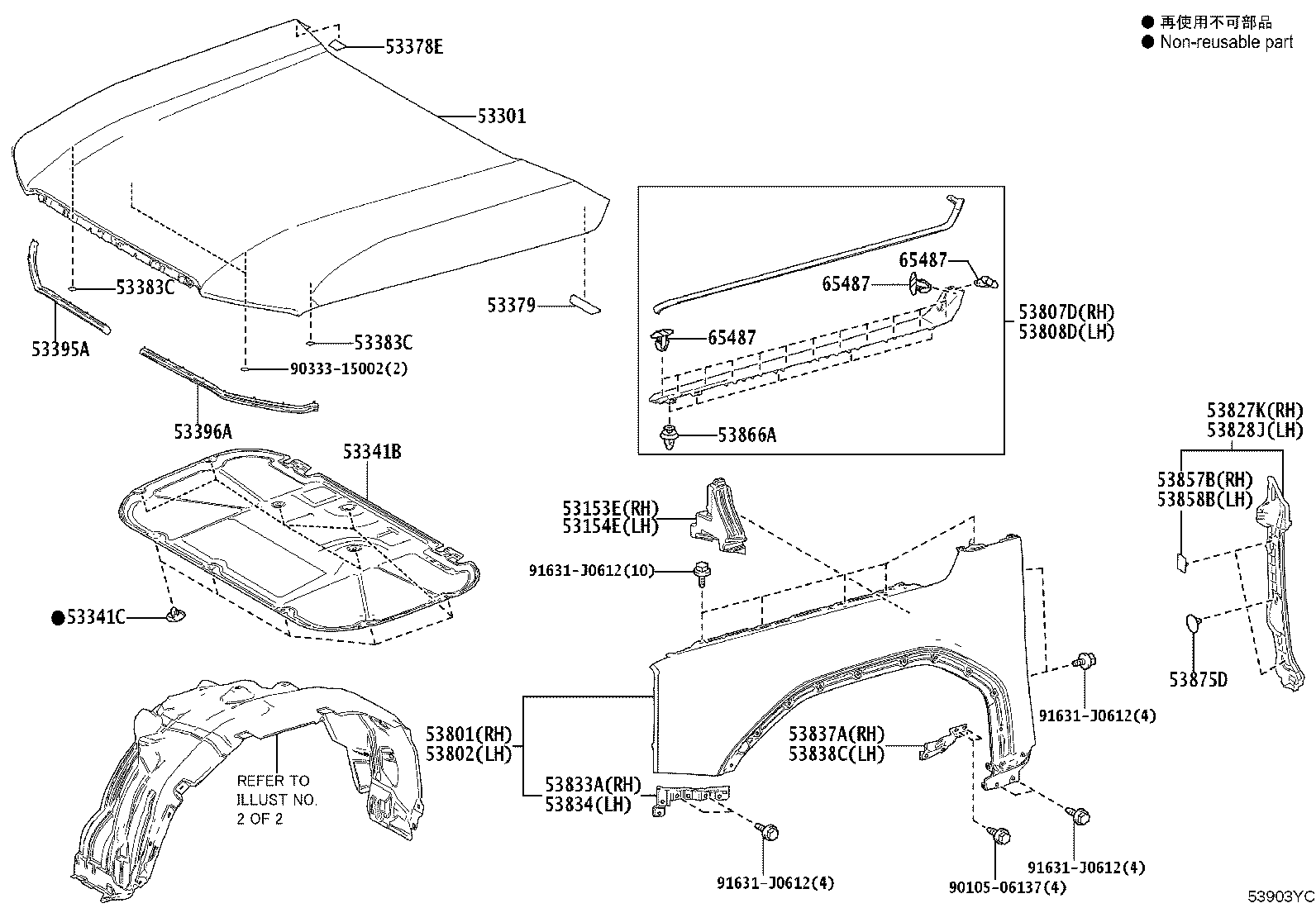 Toyota 53833-60090 PANEL, FRONT FENDER SIDE, LOWER RH