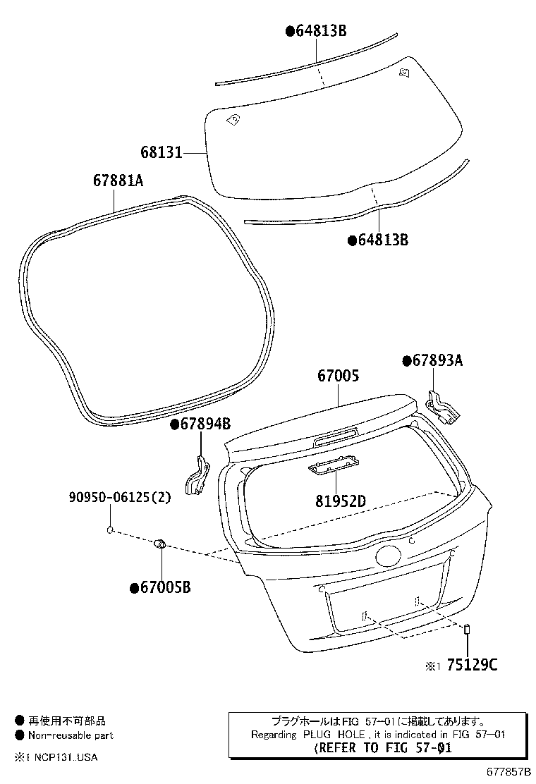 Toyota 67005-0D660 PANEL SUB-ASSY, BACK DOOR