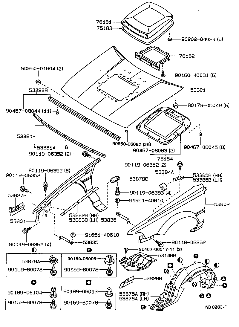 53393-12010 PROTECTOR, HOOD, FRONT product image